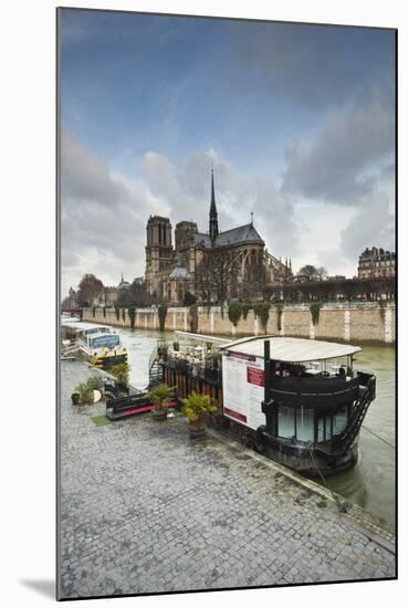 Notre Dame De Paris Cathedral and the River Seine, Paris, France, Europe-Julian Elliott-Mounted Photographic Print