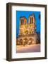 Notre Dame De Paris Cathedral-Night View-David Ionut-Framed Photographic Print