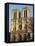 Notre-Dame de Paris Cathedral, Paris, France, Europe-Godong-Framed Stretched Canvas
