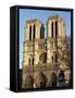 Notre-Dame de Paris Cathedral, Paris, France, Europe-Godong-Framed Stretched Canvas