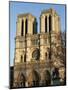 Notre-Dame de Paris Cathedral, Paris, France, Europe-Godong-Mounted Photographic Print