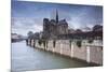 Notre Dame De Paris Cathedral, Paris, France, Europe-Julian Elliott-Mounted Photographic Print