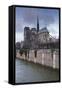 Notre Dame De Paris Cathedral, Paris, France, Europe-Julian Elliott-Framed Stretched Canvas