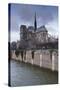 Notre Dame De Paris Cathedral, Paris, France, Europe-Julian Elliott-Stretched Canvas