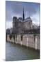 Notre Dame De Paris Cathedral, Paris, France, Europe-Julian Elliott-Mounted Photographic Print