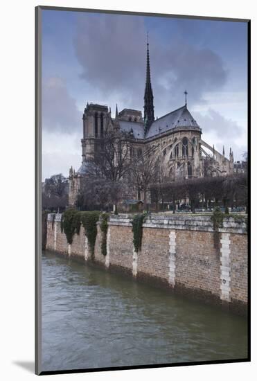 Notre Dame De Paris Cathedral, Paris, France, Europe-Julian Elliott-Mounted Photographic Print