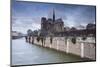 Notre Dame De Paris Cathedral, Paris, France, Europe-Julian Elliott-Mounted Photographic Print