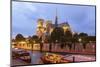 Notre Dame De Paris Cathedral, Paris, France, Europe-Julian Elliott-Mounted Photographic Print