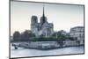 Notre Dame de Paris Cathedral, UNESCO World Heritage Site, Paris, France, Europe-Julian Elliott-Mounted Photographic Print