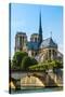 Notre Dame De Paris Cathedral-David Ionut-Stretched Canvas