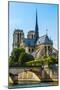 Notre Dame De Paris Cathedral-David Ionut-Mounted Photographic Print