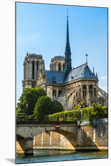 Notre Dame De Paris Cathedral-David Ionut-Mounted Photographic Print