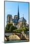 Notre Dame De Paris Cathedral-David Ionut-Mounted Photographic Print