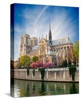 Notre Dame De Paris - France-null-Stretched Canvas