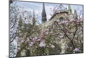 Notre Dame de Paris III-Cora Niele-Mounted Giclee Print