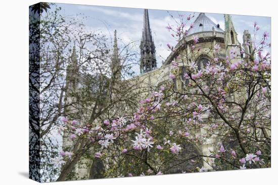 Notre Dame de Paris III-Cora Niele-Stretched Canvas