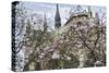 Notre Dame de Paris III-Cora Niele-Stretched Canvas