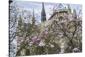 Notre Dame de Paris III-Cora Niele-Stretched Canvas