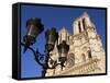 Notre Dame De Paris, Ile De La Cite, Paris, France-Neale Clarke-Framed Stretched Canvas