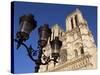 Notre Dame De Paris, Ile De La Cite, Paris, France-Neale Clarke-Stretched Canvas