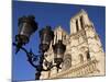 Notre Dame De Paris, Ile De La Cite, Paris, France-Neale Clarke-Mounted Photographic Print