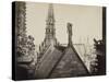 Notre-Dame de Paris, les combles pris de la Galerie des Tours-Charles Marville-Stretched Canvas