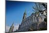 Notre-Dame du Rosaire Basilica, Lourdes, Hautes-Pyrenees, France-Godong-Mounted Photographic Print