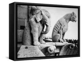 Notre Dame: Gargoyles-Eugène Viollet-le-Duc-Framed Stretched Canvas