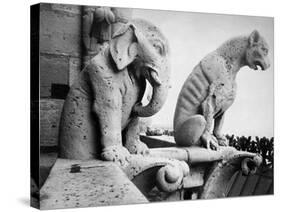 Notre Dame: Gargoyles-Eugène Viollet-le-Duc-Stretched Canvas