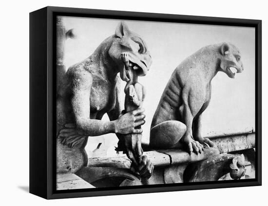 Notre Dame: Gargoyles-Eugène Viollet-le-Duc-Framed Stretched Canvas