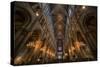 Notre Dame I-Giuseppe Torre-Stretched Canvas