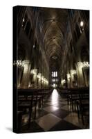 Notre Dame Interior-Dale MacMillan-Stretched Canvas