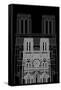 Notre Dame Night-Cristian Mielu-Framed Stretched Canvas