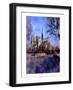 Notre-Dame, Paris, France-Nicolas Hugo-Framed Giclee Print