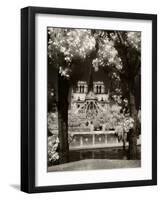 Notre Dame, Paris, France-Jon Arnold-Framed Photographic Print