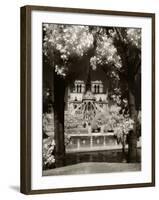 Notre Dame, Paris, France-Jon Arnold-Framed Photographic Print