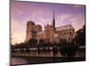 Notre Dame, Paris, France-Jon Arnold-Mounted Photographic Print