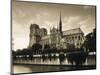 Notre Dame, Paris, France-Jon Arnold-Mounted Photographic Print