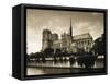 Notre Dame, Paris, France-Jon Arnold-Framed Stretched Canvas