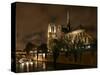 Notre Dame, Paris, France-Remy De La Mauviniere-Stretched Canvas