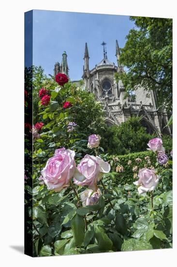 Notre Dame, Paris, France-Lisa S. Engelbrecht-Stretched Canvas