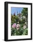 Notre Dame, Paris, France-Lisa S. Engelbrecht-Framed Photographic Print