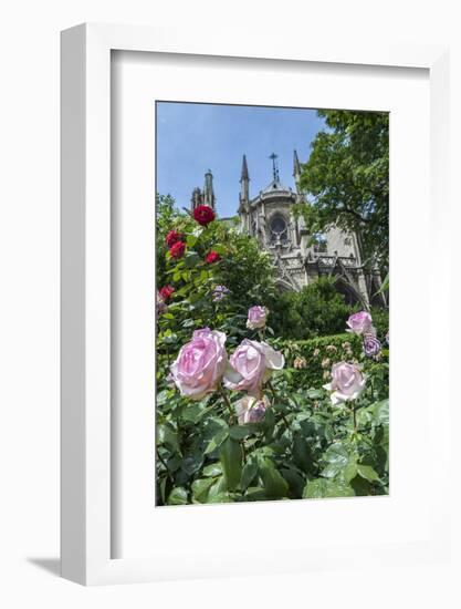 Notre Dame, Paris, France-Lisa S. Engelbrecht-Framed Photographic Print
