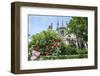 Notre Dame, Paris, France-Lisa Engelbrecht-Framed Photographic Print