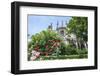 Notre Dame, Paris, France-Lisa Engelbrecht-Framed Photographic Print