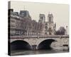 Notre Dame-Irene Suchocki-Stretched Canvas