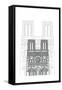 Notre Dame-Cristian Mielu-Framed Stretched Canvas