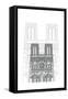 Notre Dame-Cristian Mielu-Framed Stretched Canvas