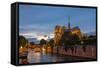 Notre Dame-fotomem-Framed Stretched Canvas