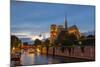 Notre Dame-fotomem-Mounted Photographic Print